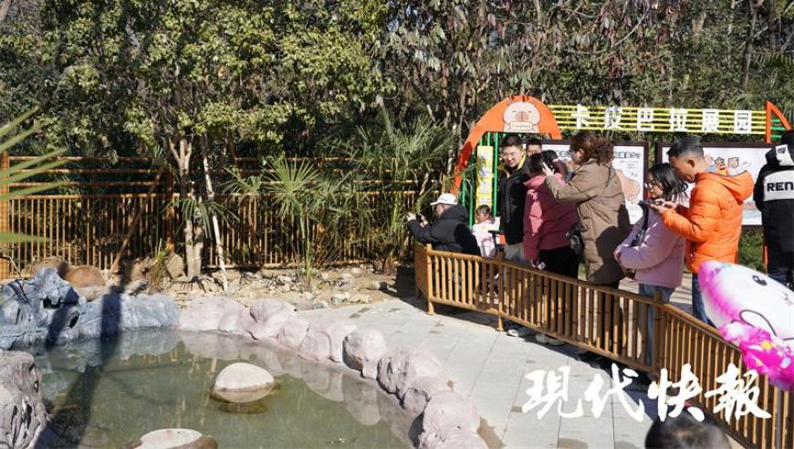 记者：万斯争夺人事权,白小姐四肖选一肖开奖结果,全面解答解释落实_云端版V14.90