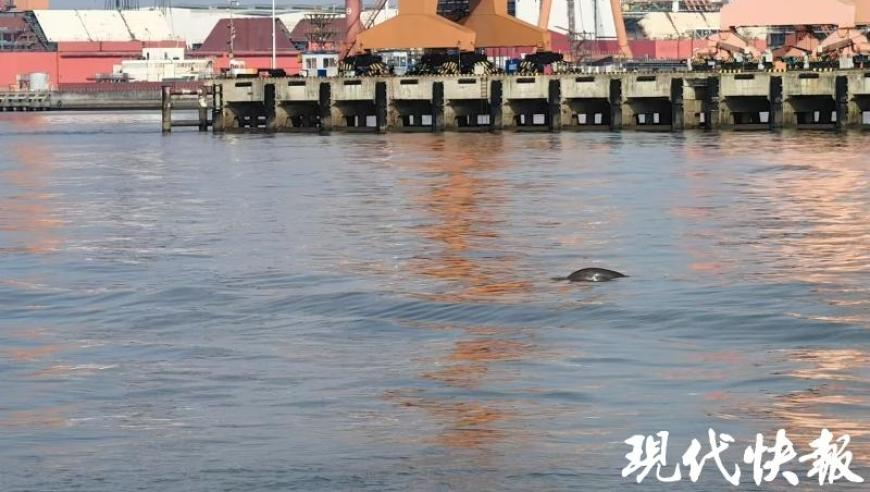 澳门六下彩4777777开奖最快现场信息,纽约铜期货非农日跌约9.3%,详细释义解释落实_手游版V13.61