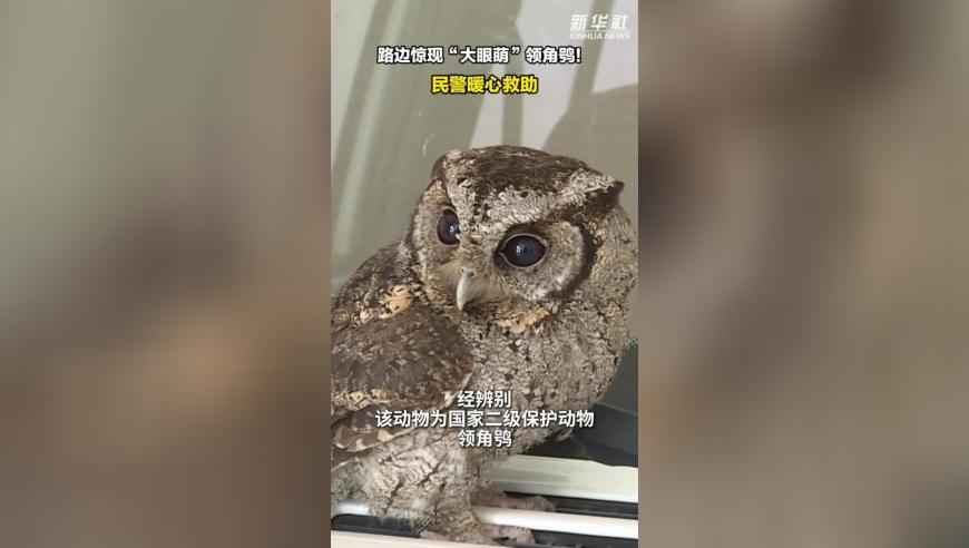 云南德宏州发生5.8级地震？,澳门彩天天好彩免费资料大全,国产化作答解释落实_精英版V4.66