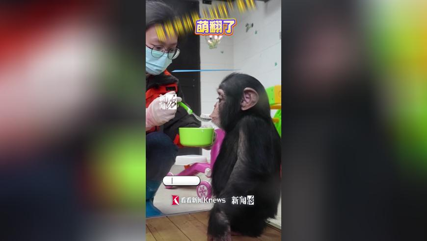 香港艺人黄百鸣被控内幕交易,澳门金钥匙二肖中特免费,准确资料解释落实_正式版V5.96