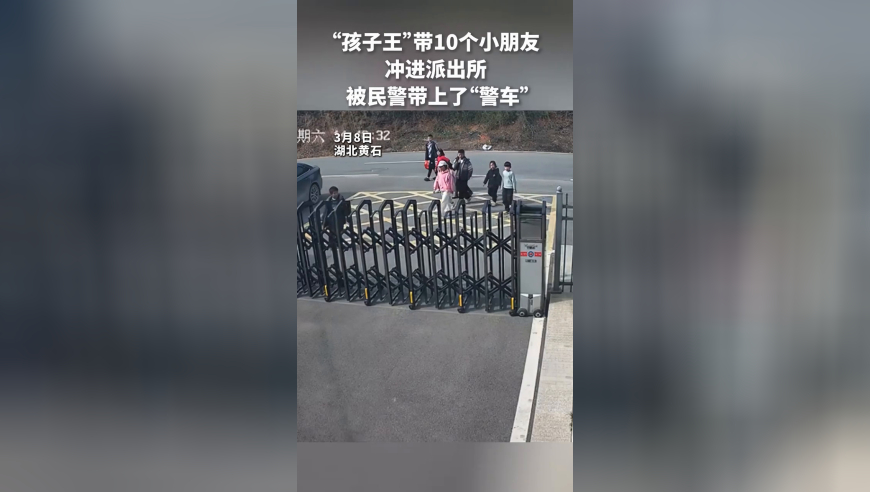 妈祖乘机赴台专属登机牌亮了,二四六香港码今晚预测,精准解释落实及其象征意义_专家版V15.94