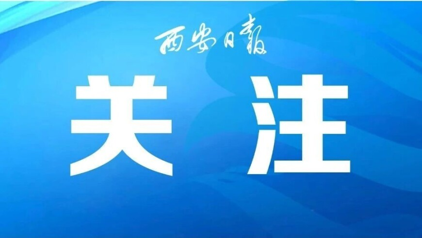 难哄求婚现场幸福的冲击力,澳门天天开彩资料查询,决策资料解释落实_高级版V5.96
